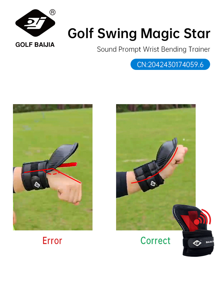 BaiJia Golf Chipping Wrist Ang - огляд і ціна Alignment Stick Set